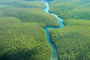 fleuve-amazon